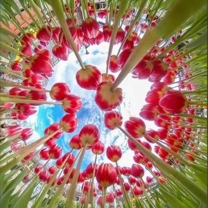 Meet your Posher, Lorraine